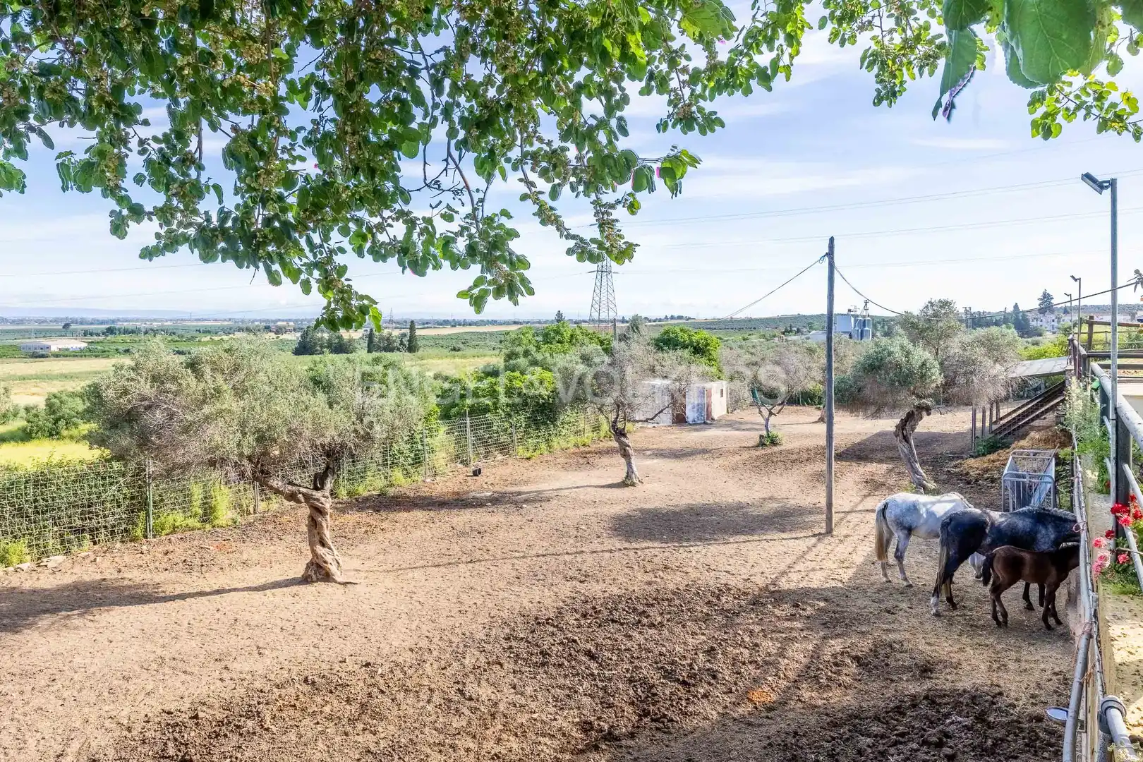 Jardí de Finca rústica en venda en Alcalá de Guadaira amb Calefacció, Jardí privat i Terrassa