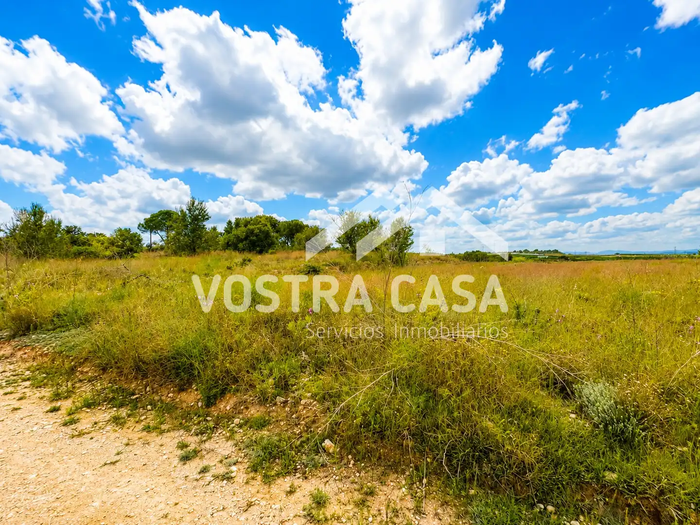 Terreny rústic en venda a CAÑADA DE JACINTO, imagen 7