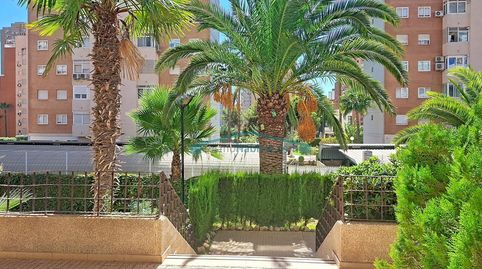 Photo 4 of Flat for sale in Juzgados - Plaza de Toros, Benidorm
