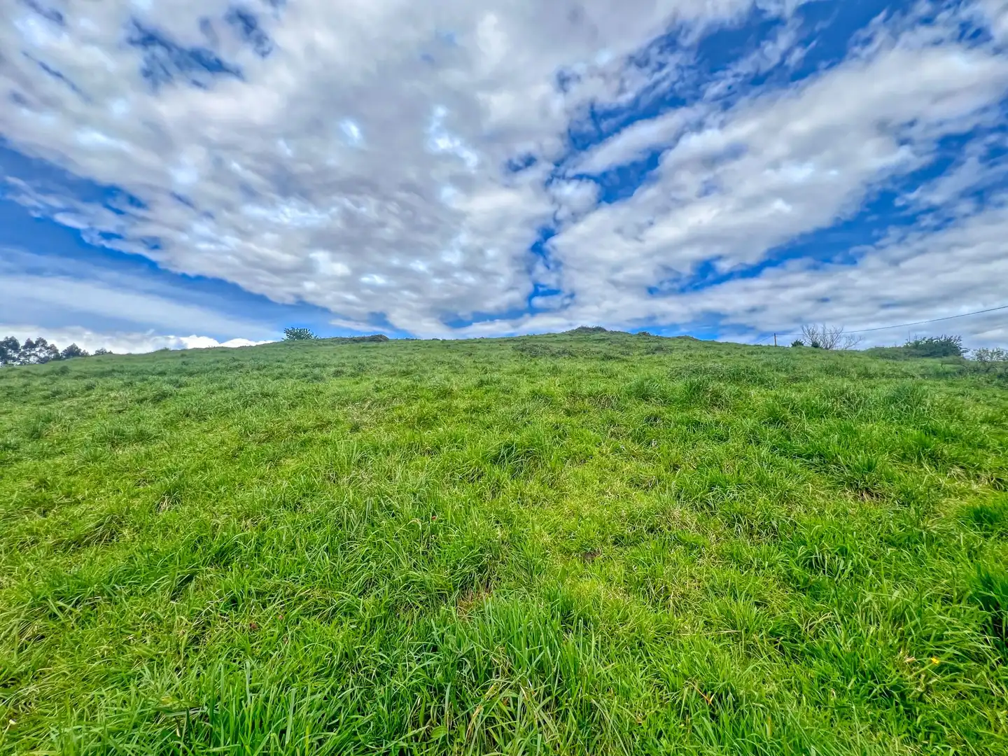 Lands and plots for sale in Pillarno, imagen 10