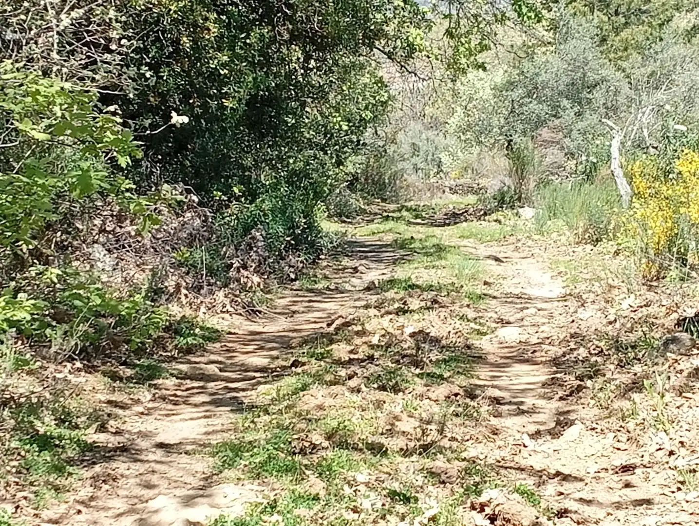 Terreni e lotti in vendita a Valverde de la Vera, imagen 69
