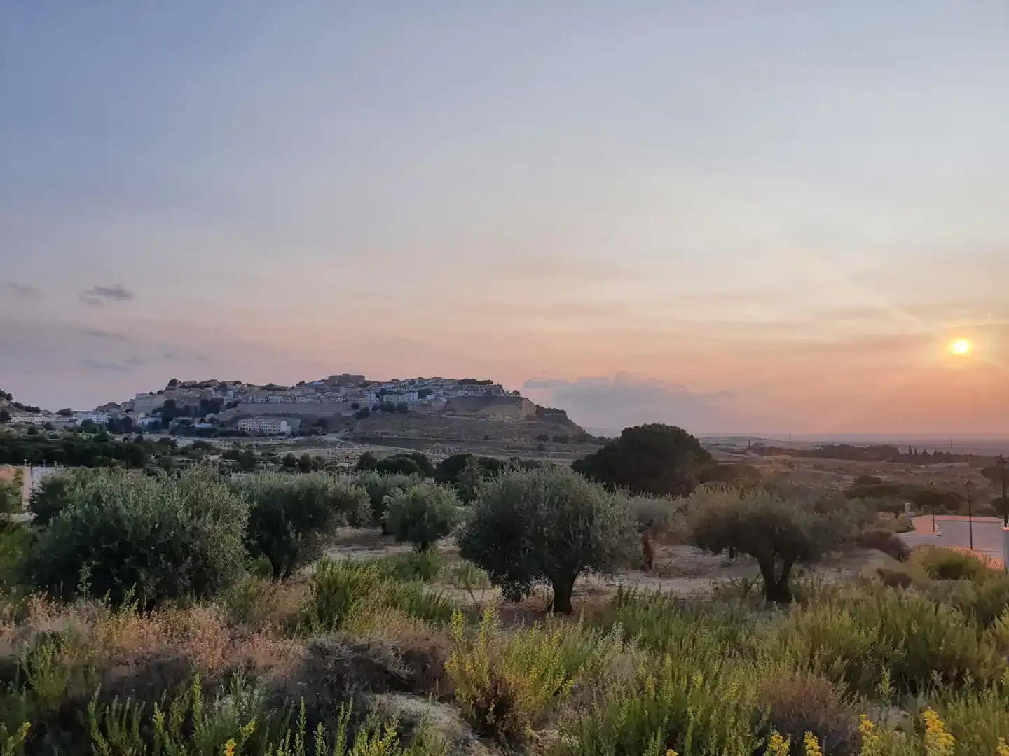 Vista exterior de Terreno en venta en Chinchilla de Monte-Aragón