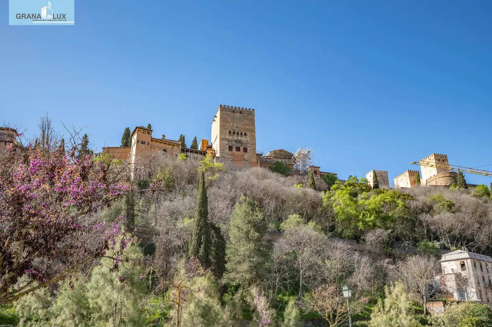 Inmuebles singulares en venta en Calle Gumiel de San Pedro