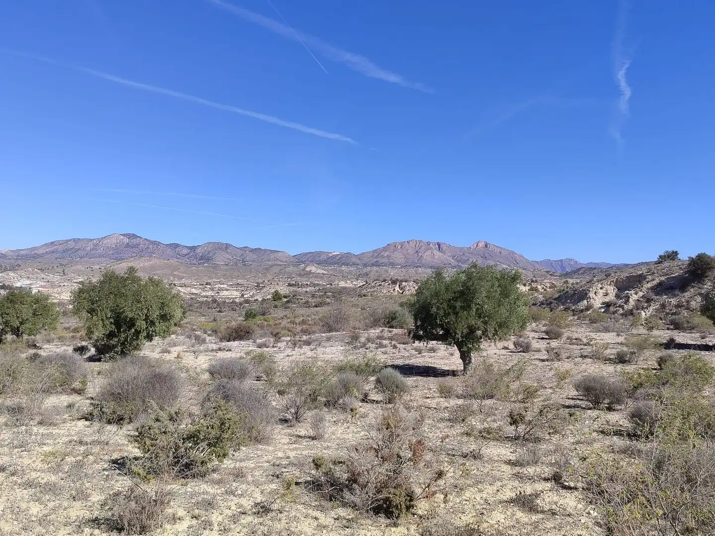 Lands and plots for sale in Abanilla, imagen 12