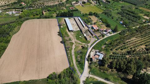 Foto 4 von Fabrikhallen zum Verkauf in Arbeca, Lleida