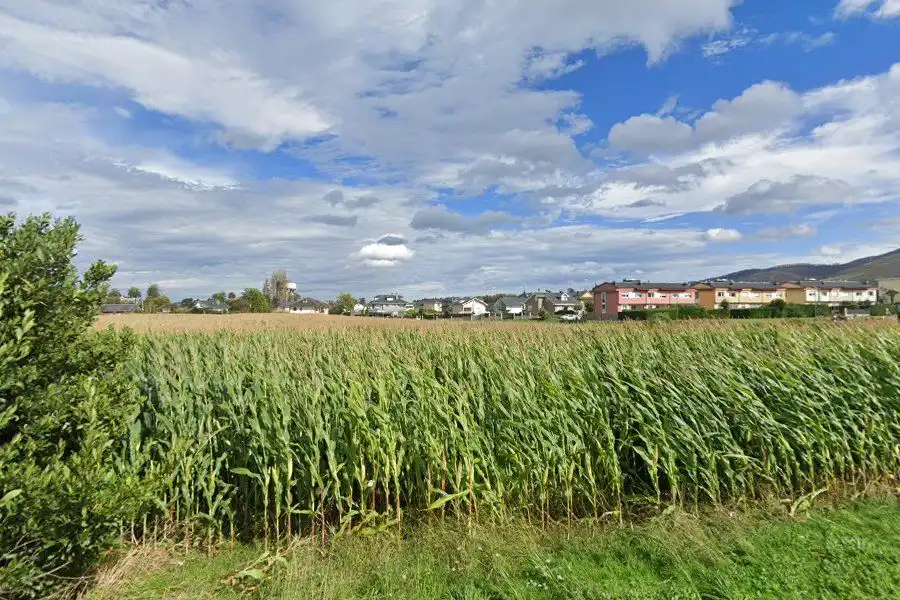 Grundstücke und Bauplätze zum Verkauf in 17 Parcela 449, imagen 9