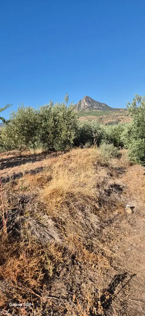 Terreno en venta en Lagunilla del Jubera