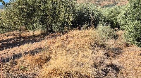 Foto 5 de Terreno en venta en Lagunilla del Jubera, La Rioja