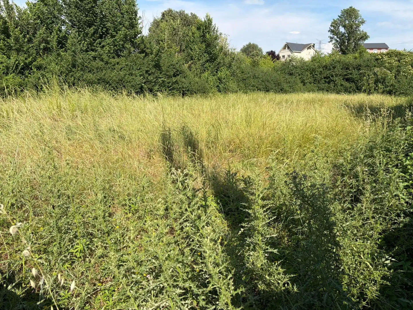Terreni e lotti in vendita a Cubillos del Sil, imagen 5