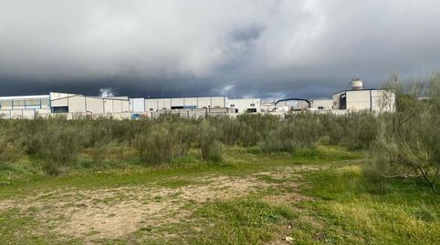 Foto 3 de Terreno en venta en Juan Maria Leonet Zabala, Villa del Prado, Madrid