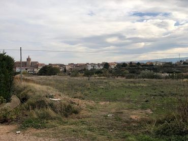 Terreno rustico in vendita a Tarazona