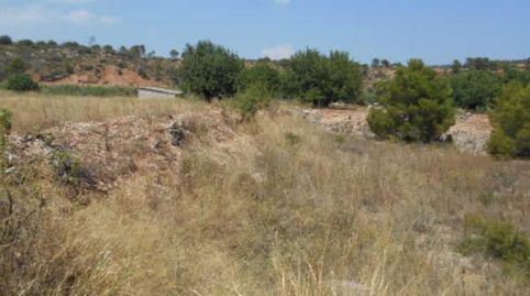 Solvia Inmobiliaria  Suelo Rústico Sant Mateu, immagine 3