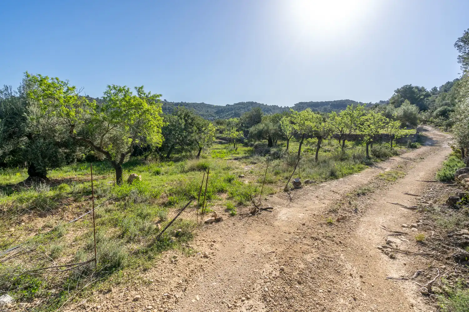Casa o xalet en venda en Tortosa amb Jardí privat, Moblat i Rentadora
