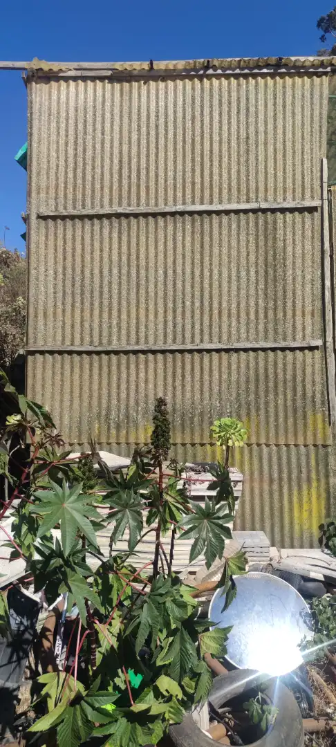 Jardín de Terreno en venta en Tegueste