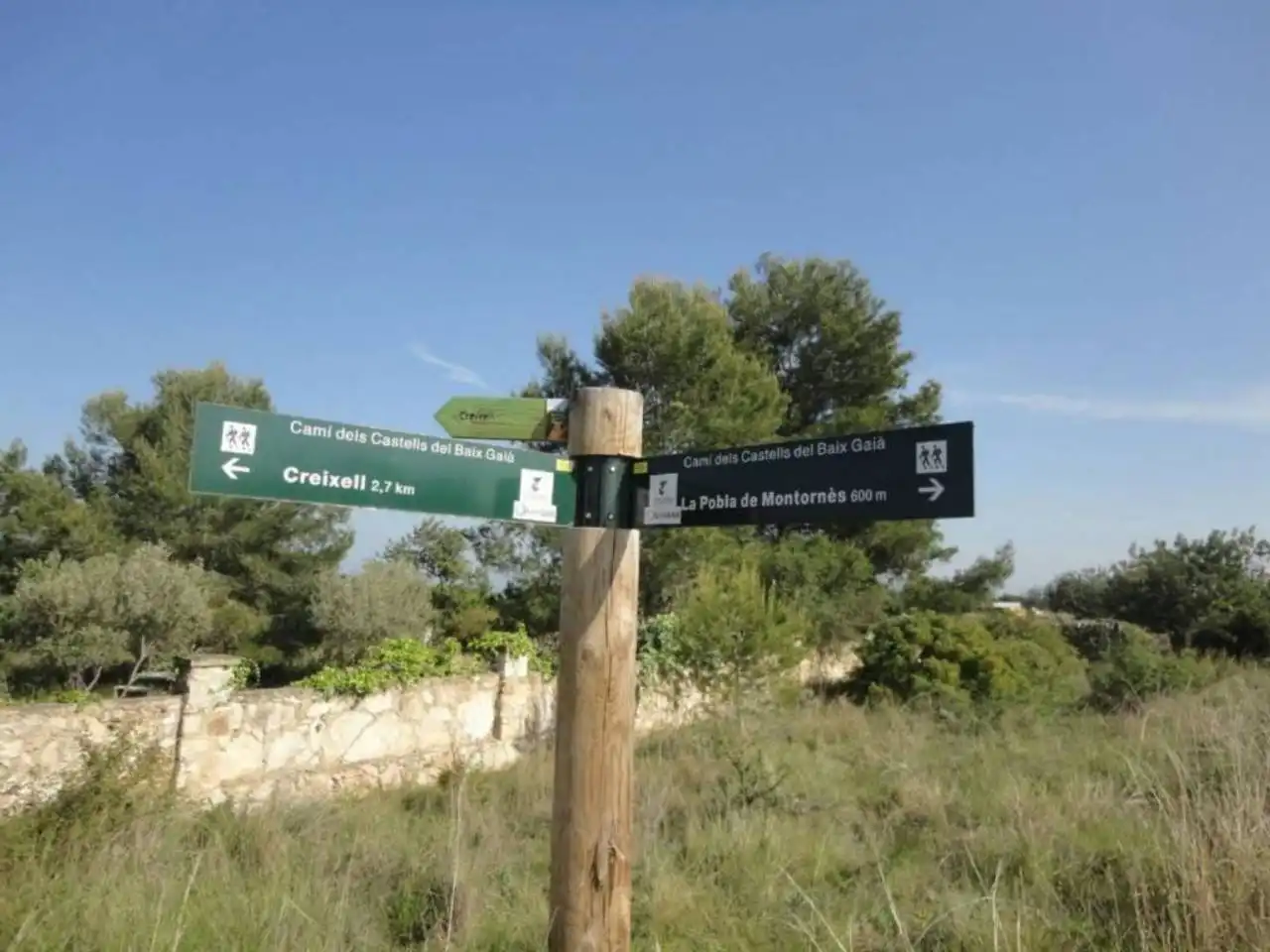 Terreny residencial en venda a Carretera Clarà 00, imagen 14