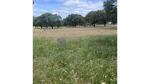 FINCA EN VENTA 80 HAS ZONA TRUJILLO, imatge 3
