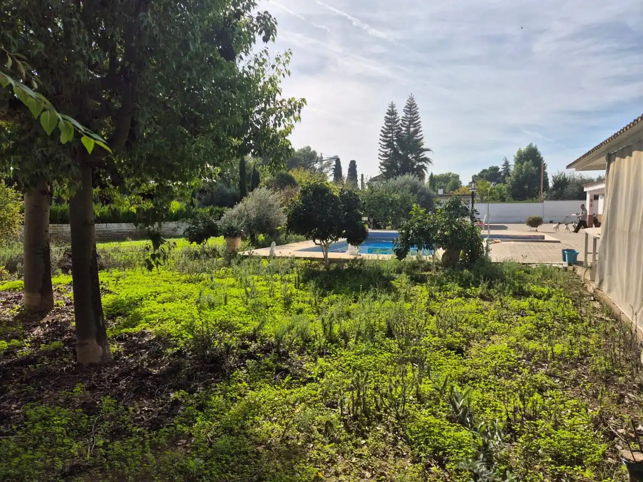 Jardín de Casa o chalet en venta en Palomares del Río con Aire acondicionado, Jardín privado y Terraza