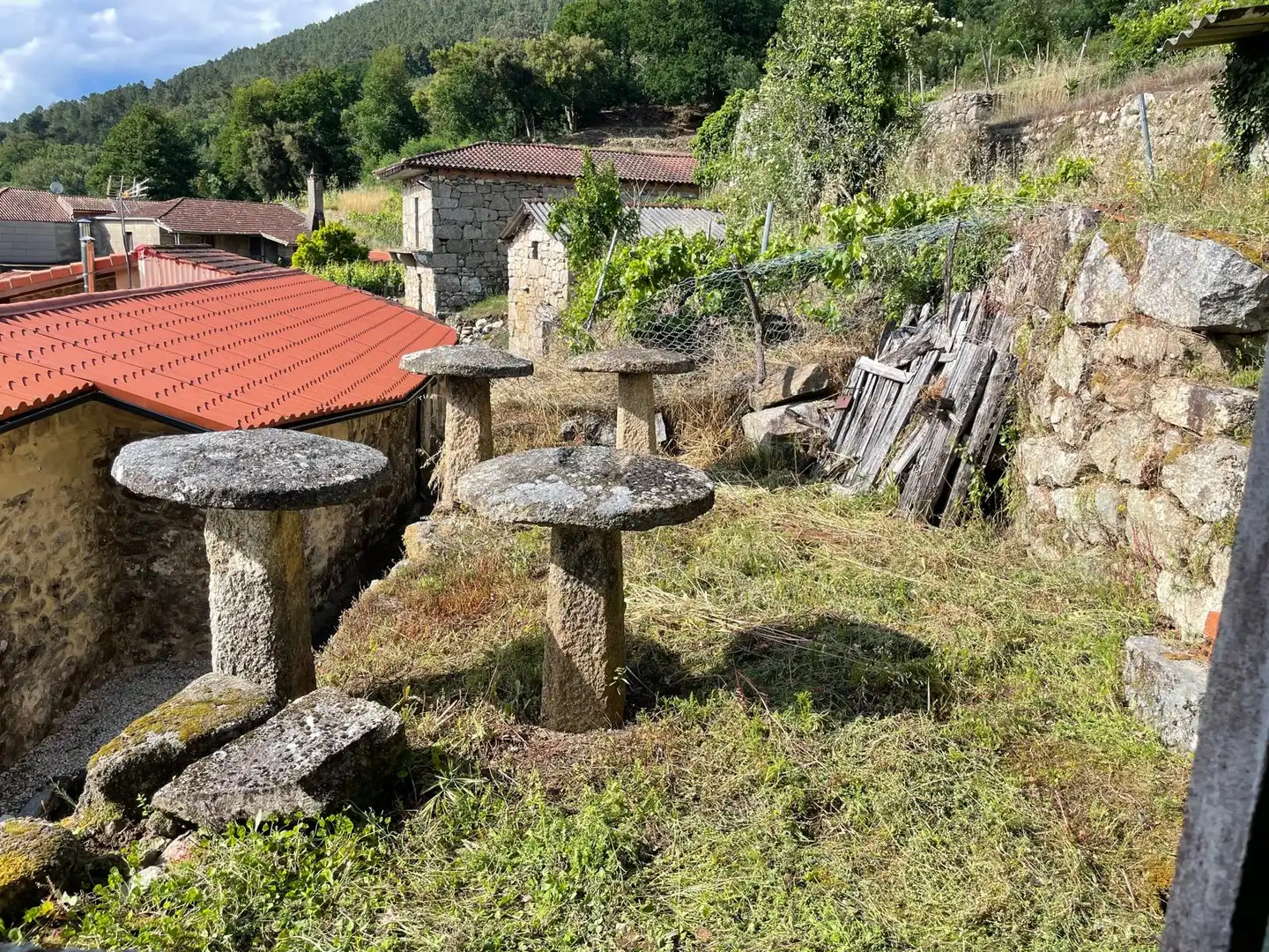 Jardí de Finca rústica en venda en A Arnoia amb Traster, Moblat i Balcó