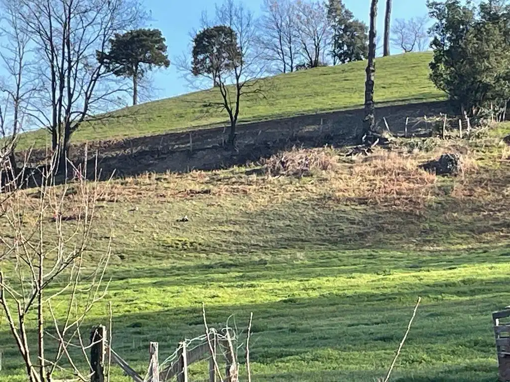 Land for sale in Balmaseda