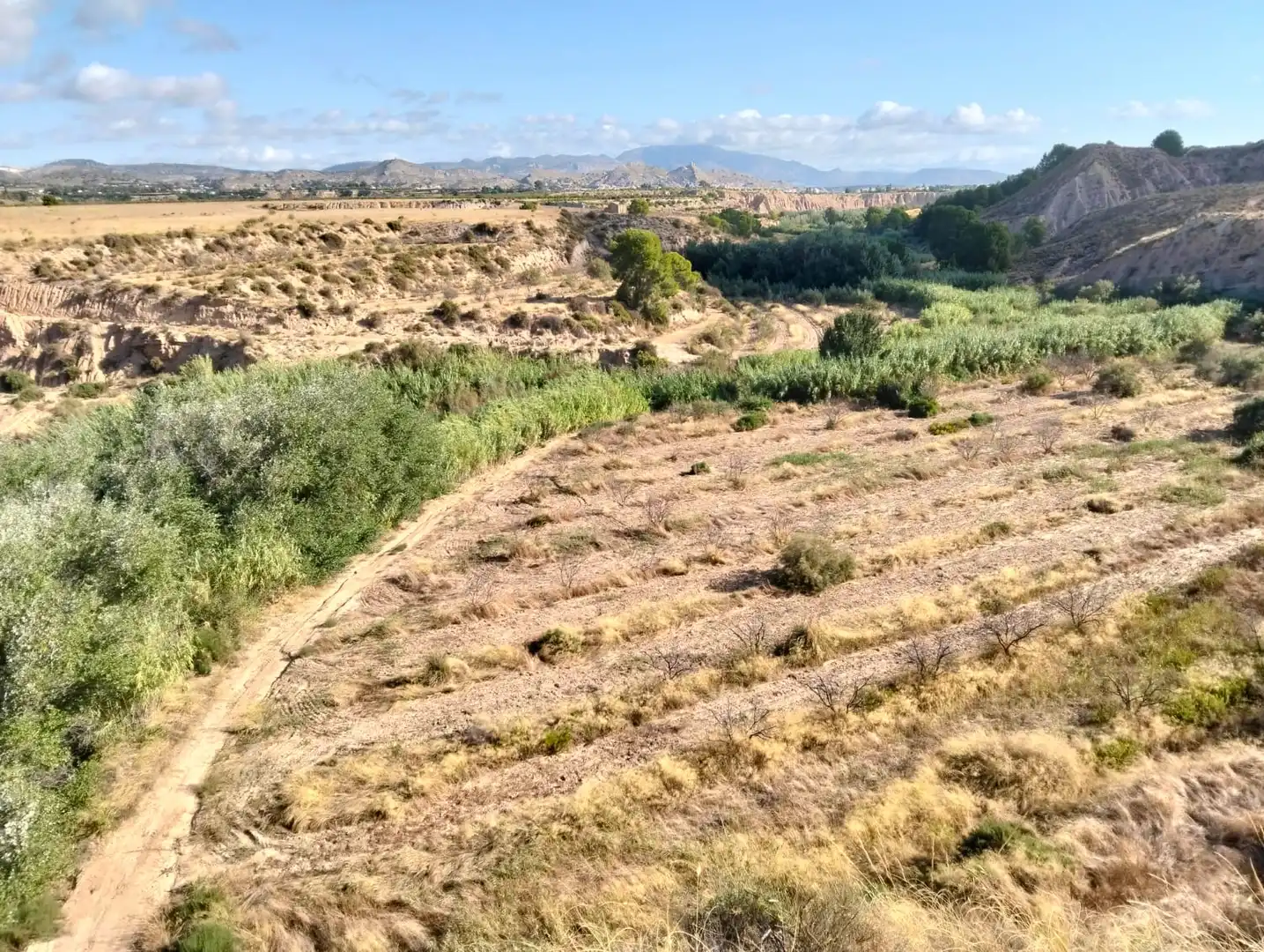 Lands and plots for sale in Mula, imagen 31