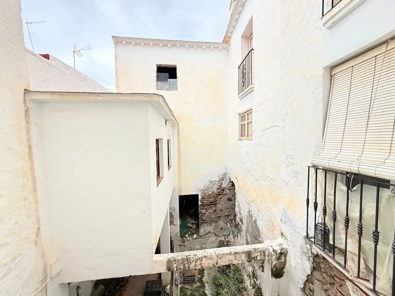Vista exterior de Finca rústica en venta en Torrox