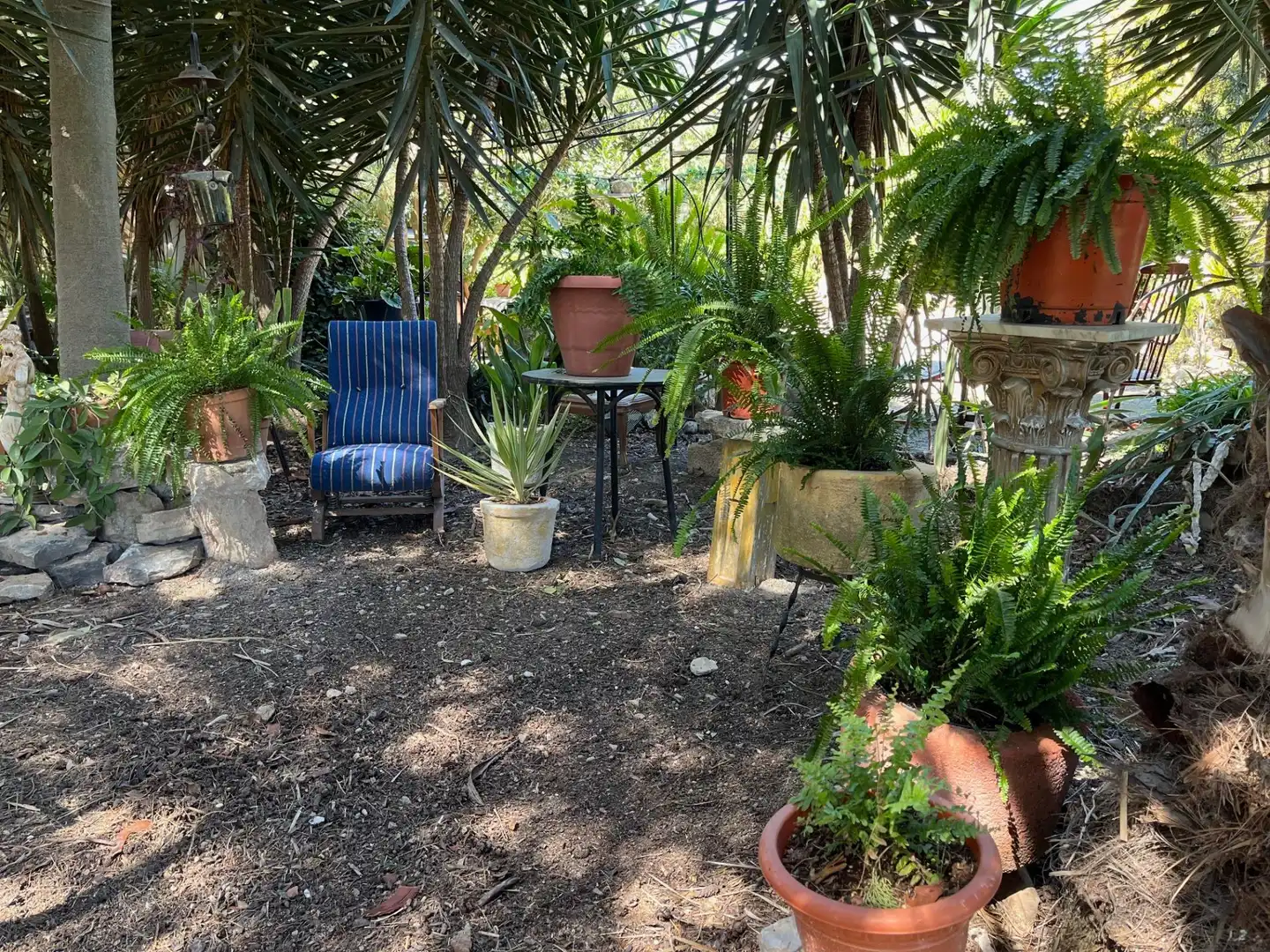 Jardín de Finca rústica de alquiler en Catral con Jardín privado