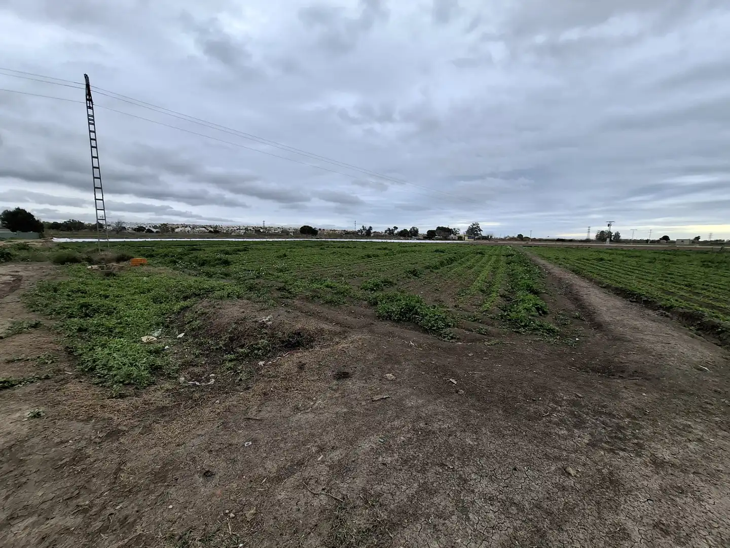 Terreno rustico in vendita a Partida lo Pedreño, imagen 3