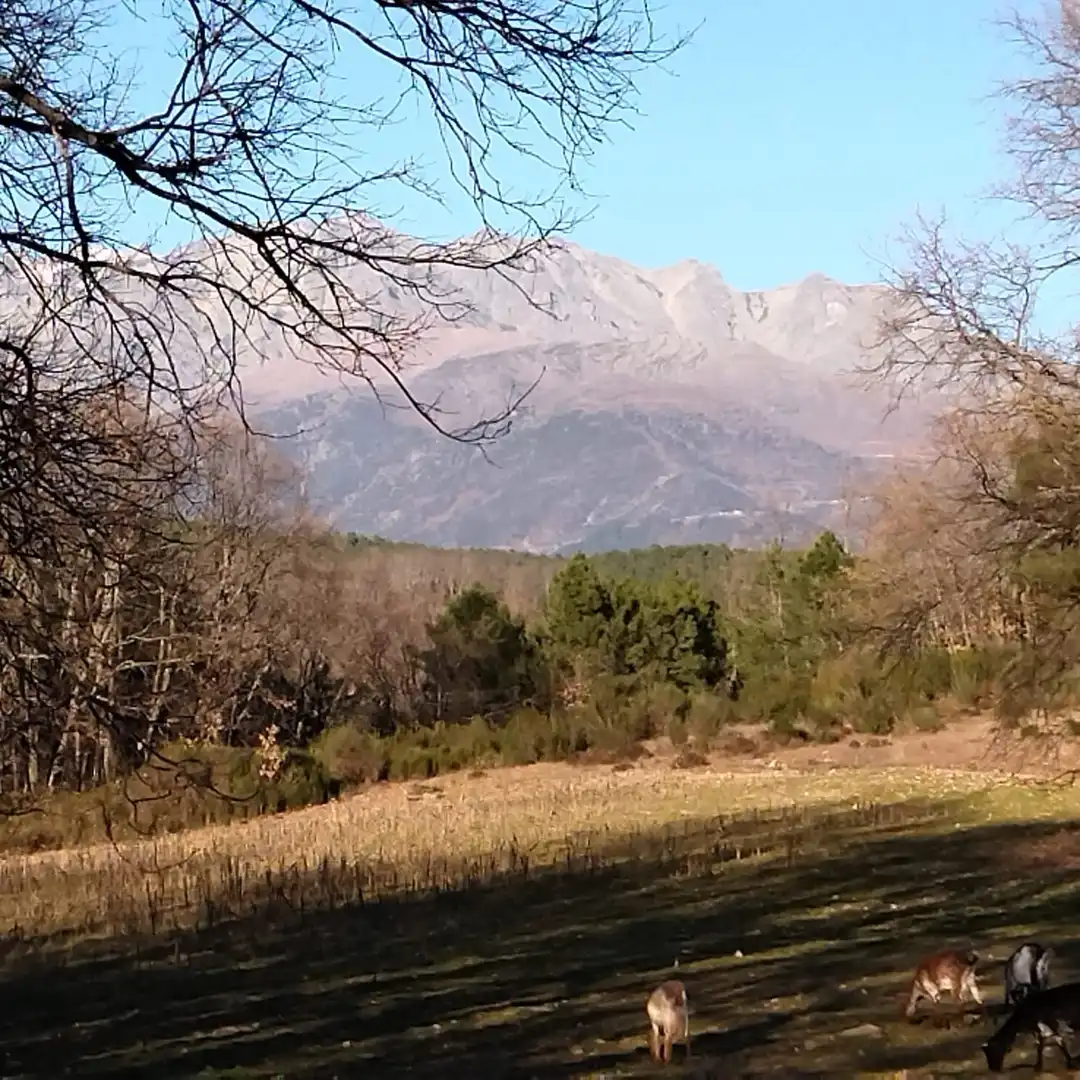 Terreni e lotti in vendita a Villanueva de la Vera, imagen 3