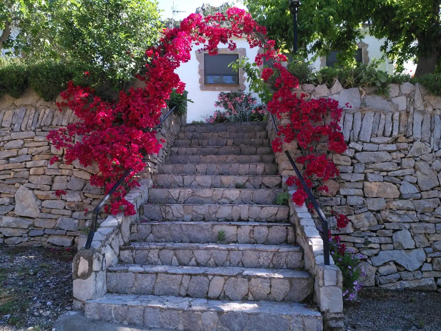 Jardí de Local en venda en Alfara de Carles amb Moblat