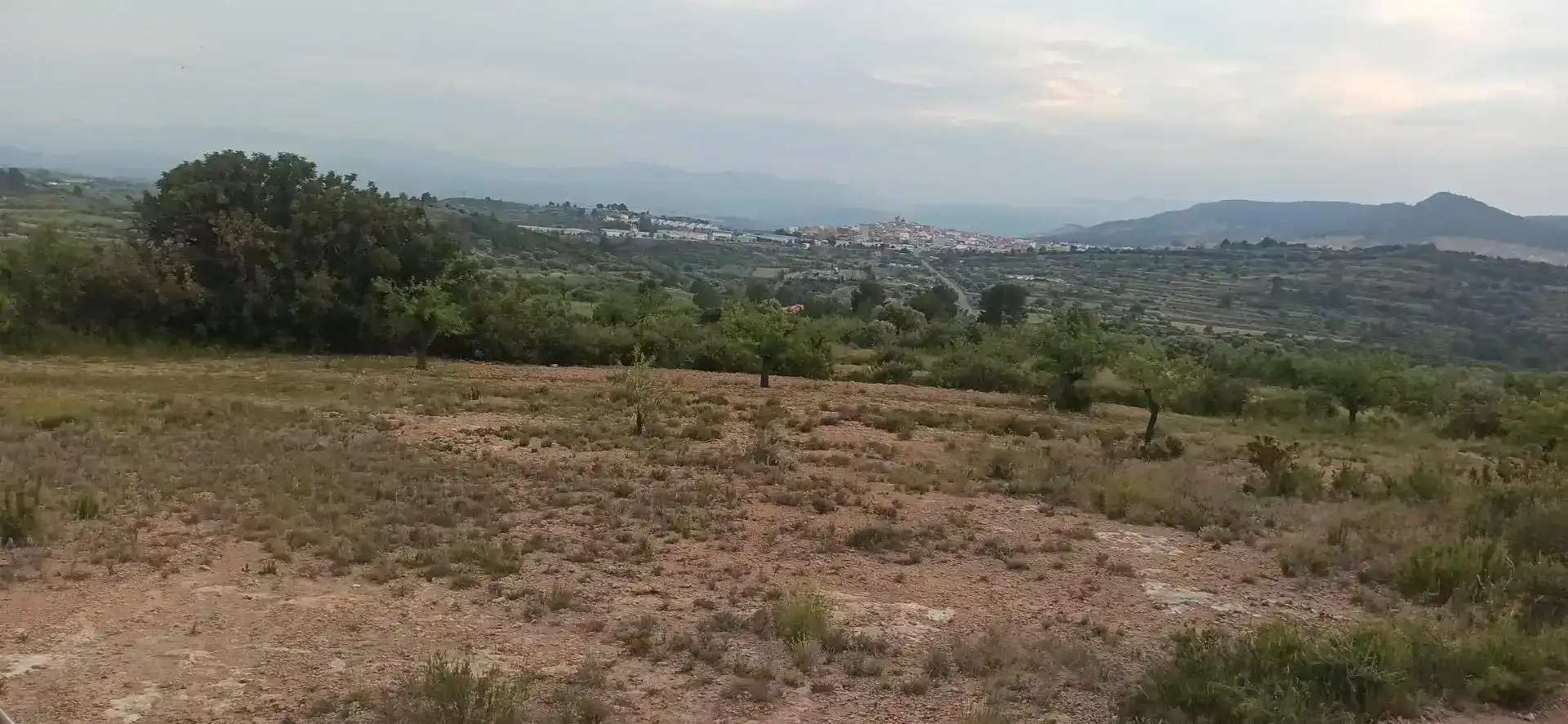 Finca rústica en venda en Andilla