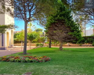 Garden of Flat for sale in Alicante / Alacant  with Terrace, Furnished and Oven