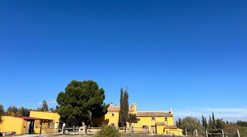 Foto 3 de Finca rústica en venta en Caniles, Granada