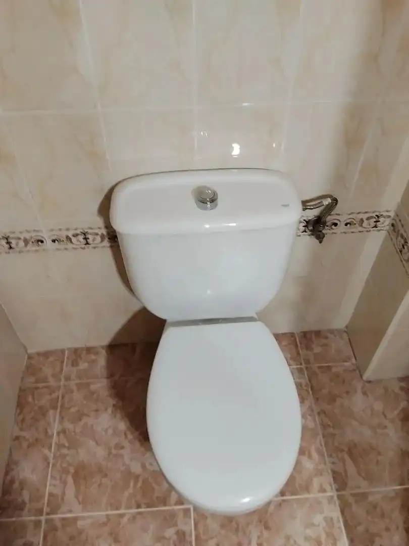 Bany de Pis en venda en Algemesí amb Aire condicionat, Terrassa i Moblat