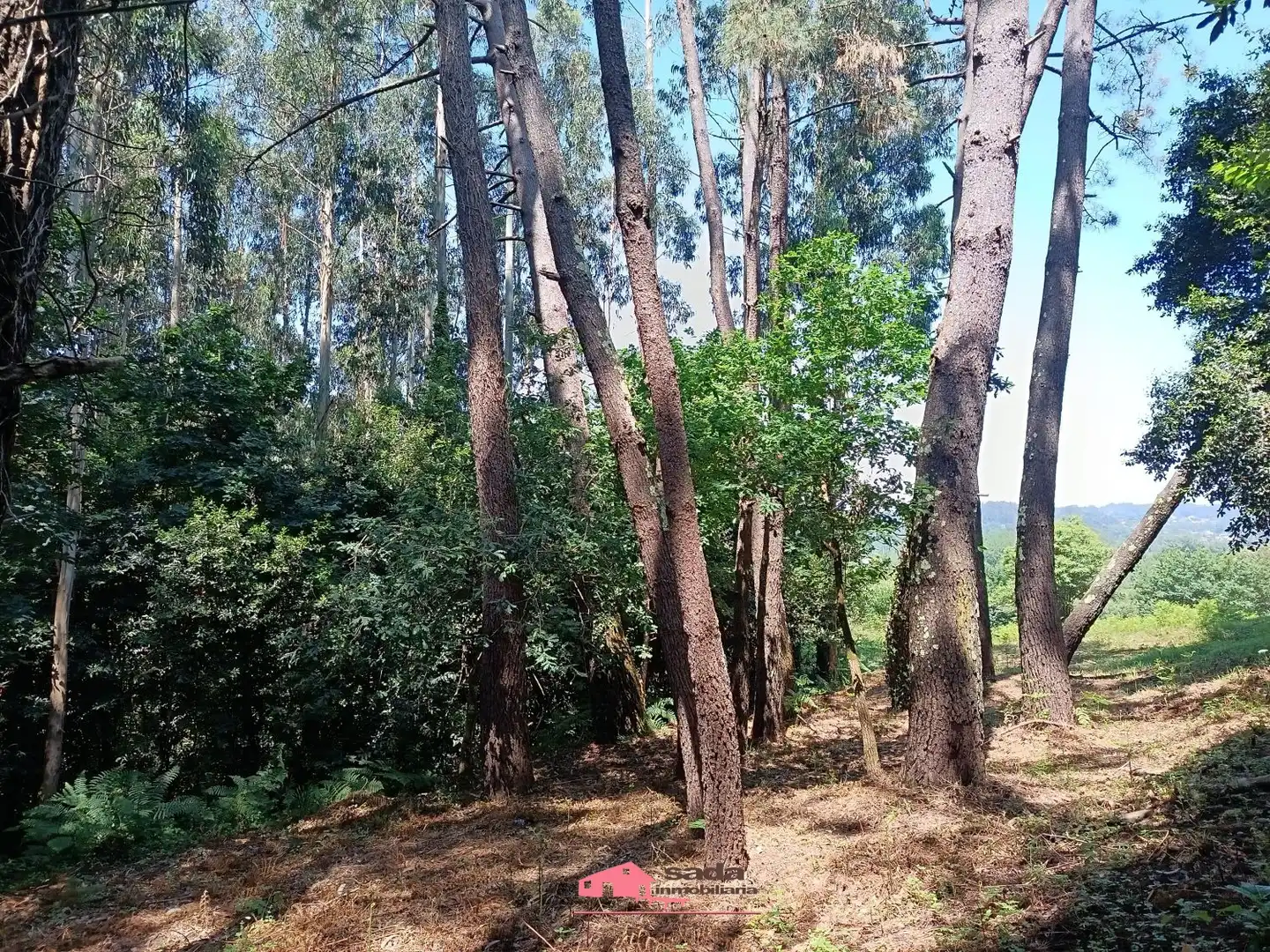 Country homes for sale in Bergondo