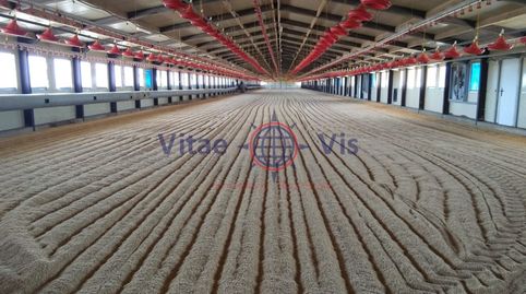 Photo 2 of Houses for sale in Travesia Mayor 04 (paca la), La Tova, Lorca