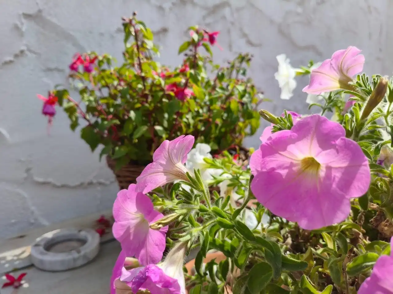 Garden of Houses for sale in Elche / Elx  with Air Conditioner, Private garden and Terrace