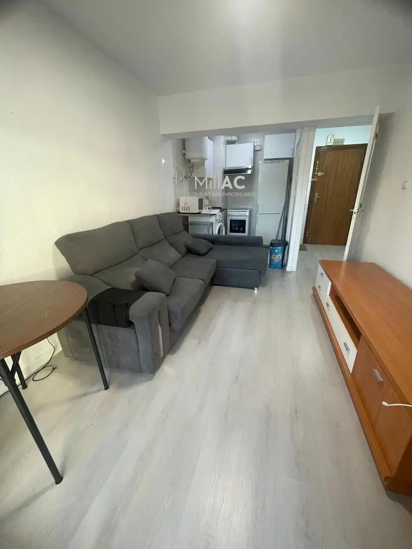 Sala de estar de Piso de alquiler en Madrid con Terraza y Amueblado