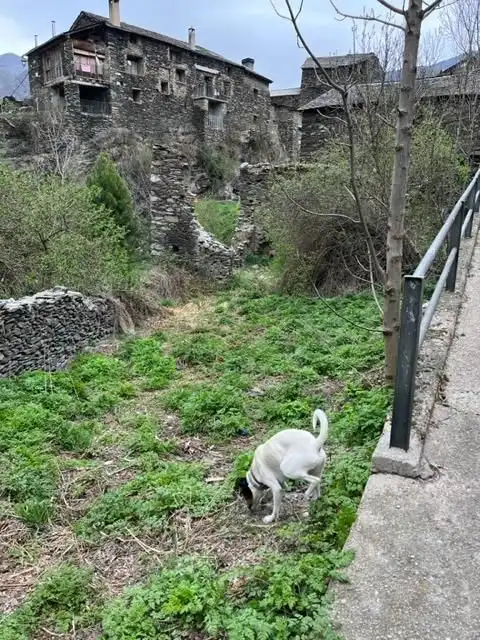 Terreno residenziale in vendita a Alins