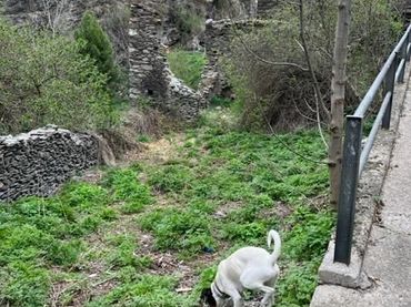 Wohnbaugrundstück zum Verkauf in Alins