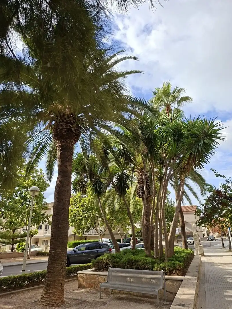 Vista exterior de Àtic en venda en La Ràpita amb Piscina comunitària