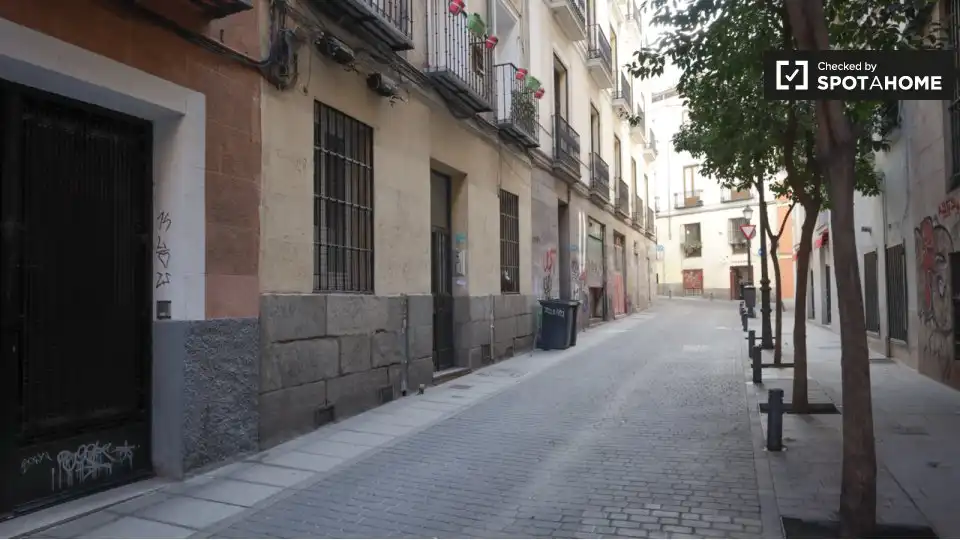 Pis de lloguer a Centro, imagen 16