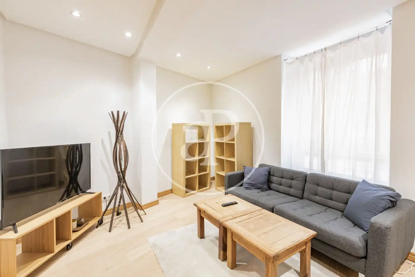 Sala de estar de Piso de alquiler en  Madrid Capital con Calefacción y Amueblado