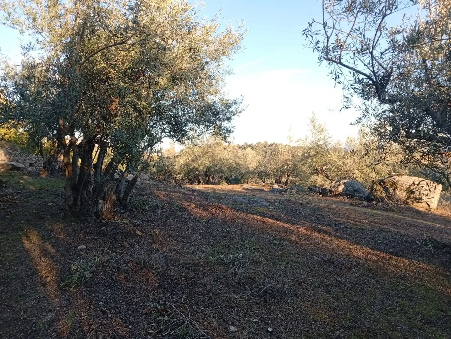 Terreni e lotti in vendita a Villanueva de la Vera, imagen 62