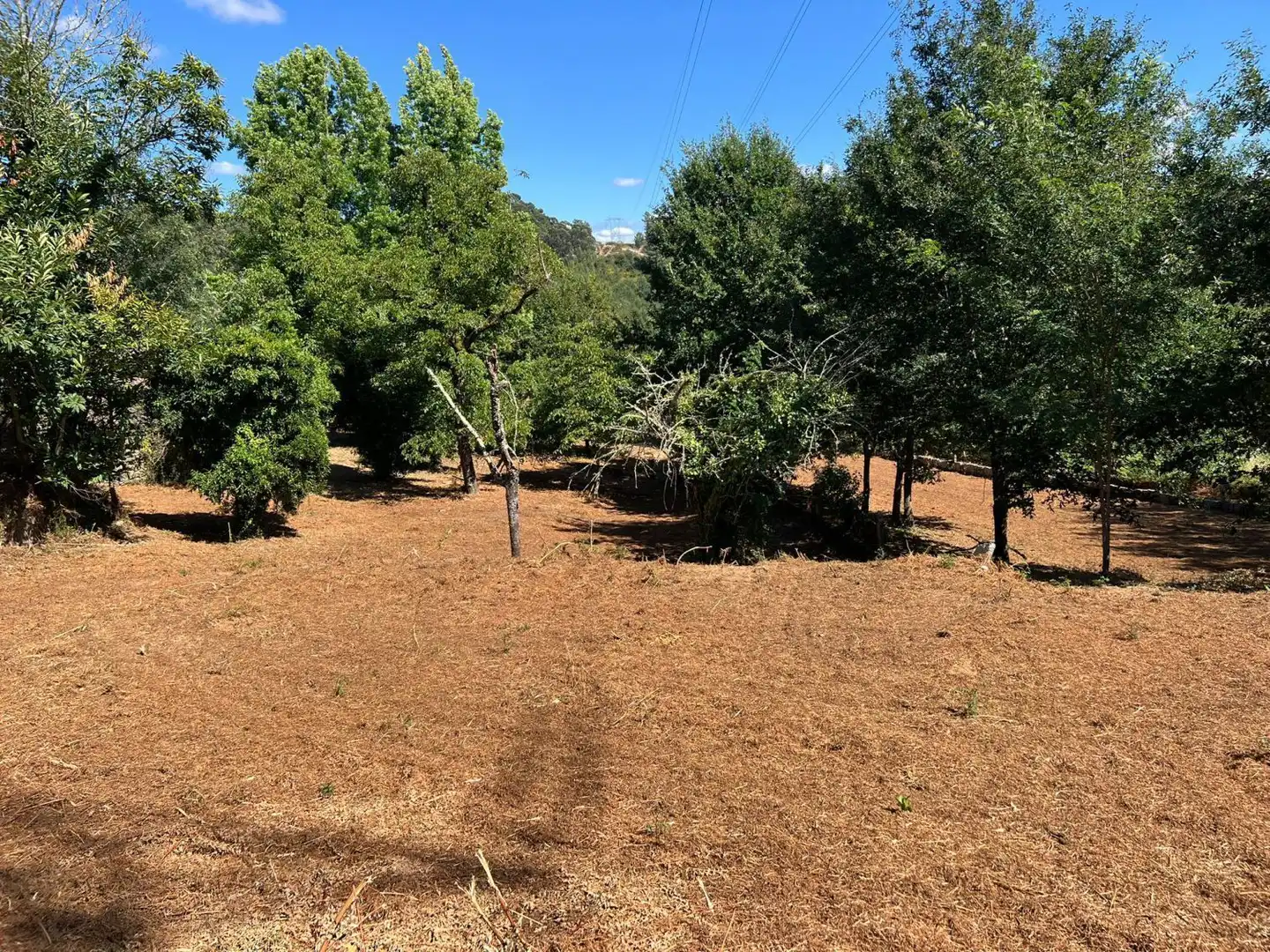 Maison à vendre à Lugar Barreras, imagen 4