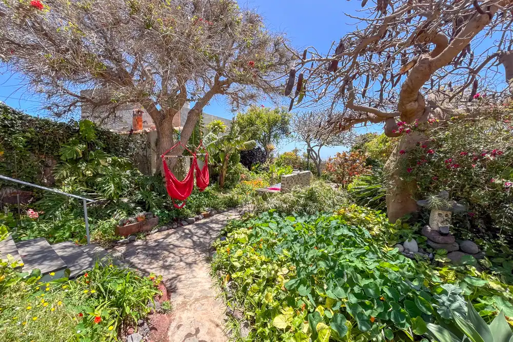 Jardí de Casa o xalet en venda en San Sebastián de la Gomera amb Terrassa i Moblat