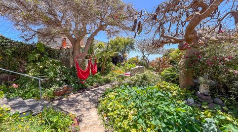 Foto 2 de Casa o xalet en venda a Cañada las Palomas, -1, San Sebastián de la Gomera, Santa Cruz de Tenerife