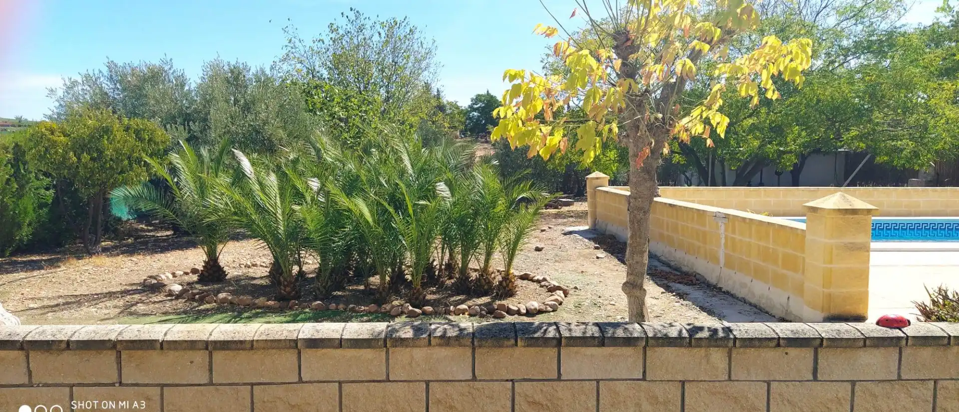Chalet con piscina en venta en La Carlota, imagen 7