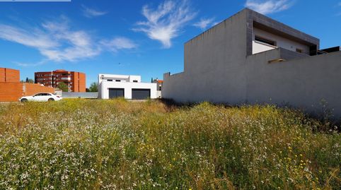 Se vende solar en el poligono 20 tomelloso con 230 m2 y 12 metros de fachada, immagine 3