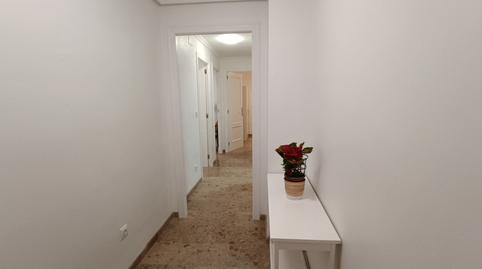 Foto 3 de Pis de lloguer a Calle Doctor Fleming, Norte, San Vicente del Raspeig / Sant Vicent del Raspeig