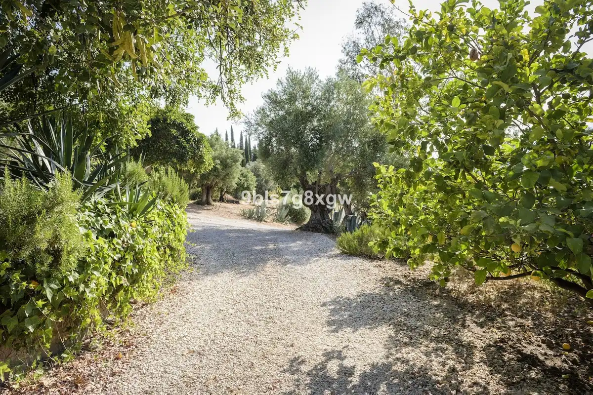 Jardí de Residencial en venda en Gaucín